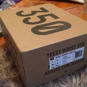 Slightly worn YEEZY ZEBRA